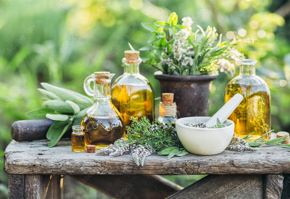 Natureza que cura: Dia Nacional da homeopatia - Goeie life