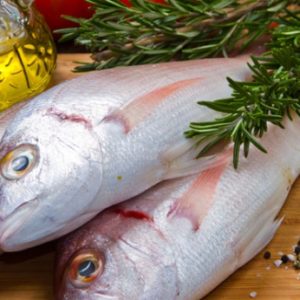 Lista Vermelha do Greenpeace mostra como comprar peixe cuidando do ambiente
