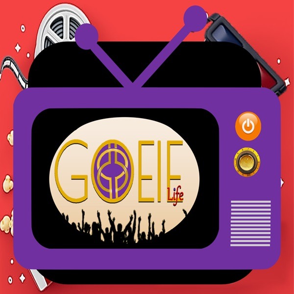 Confira nossos vídeos no canal YouTube